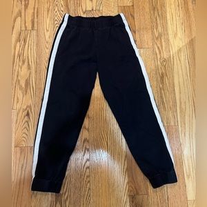 Aritzia double side stripe joggers
